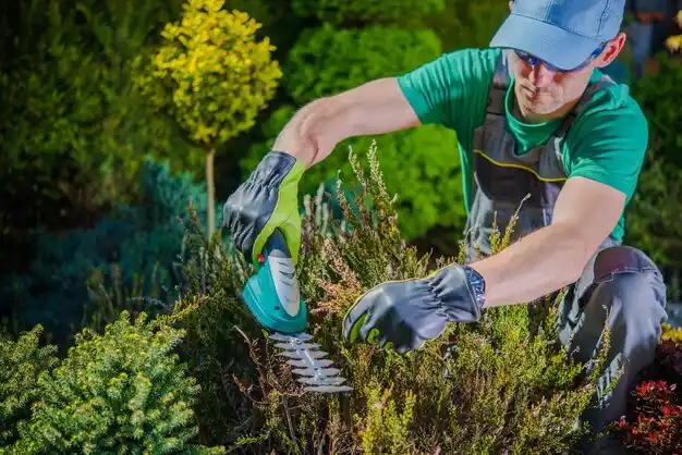landscaping services Carterville